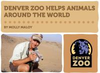 Denver_Zoo_Helps_Animals_Around_the_World